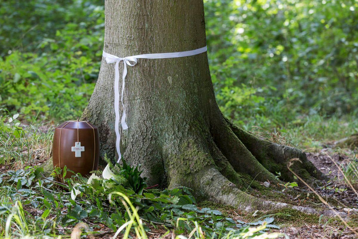 Urne an einem Baumstamm im Bestattungswald
