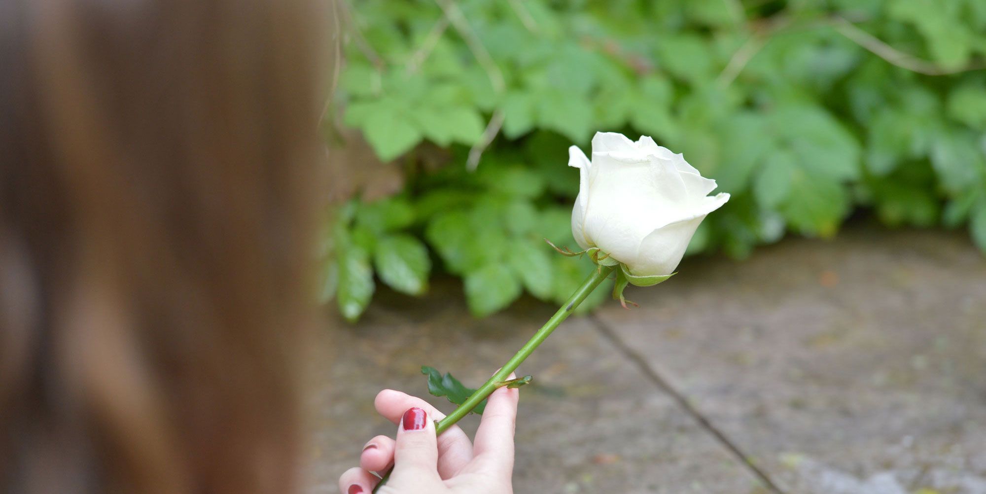 Trauernde hält eine Rose