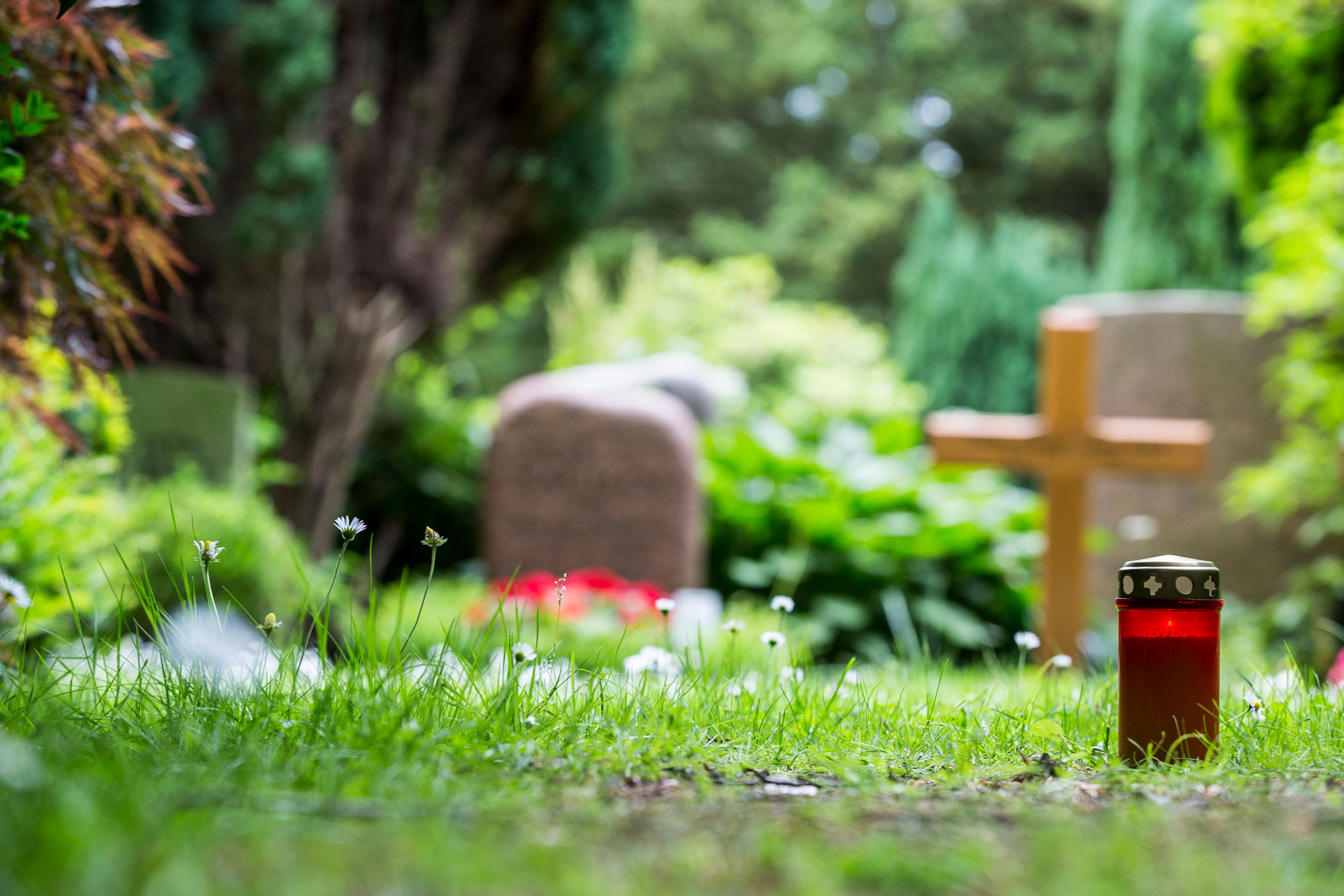 Grablicht auf einem Friedhof